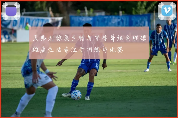 贝弗利称莫兰特与字母哥组合理想雄鹿生活专注于训练与比赛