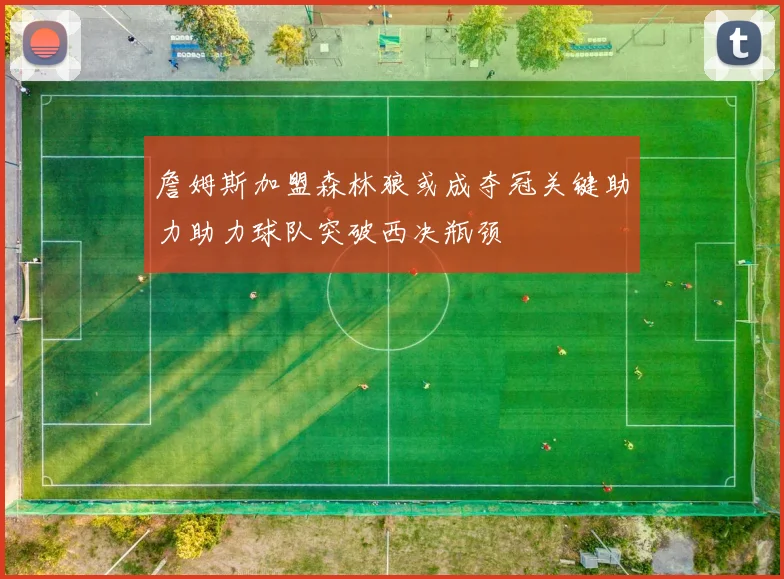 詹姆斯加盟森林狼或成夺冠关键助力助力球队突破西决瓶颈